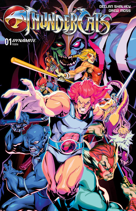 ThunderCats #1 - UDON Store Exclusive Standard Chamba Cover