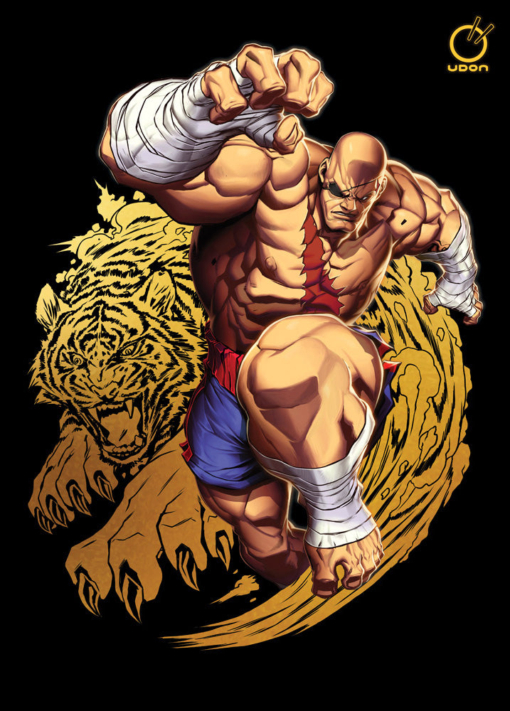 STREET FIGHTER ORIGINS: SAGAT Hardcover - Coming Spring 2023