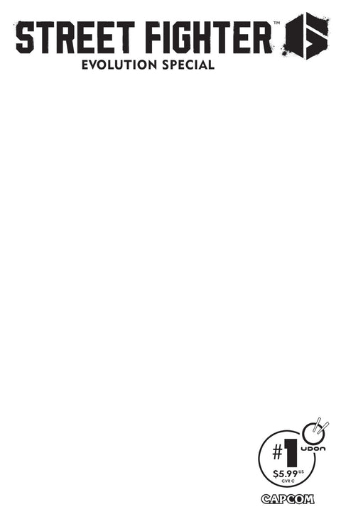Street Fighter 6: Evolution Special #1 CVR C - Blank Sketch