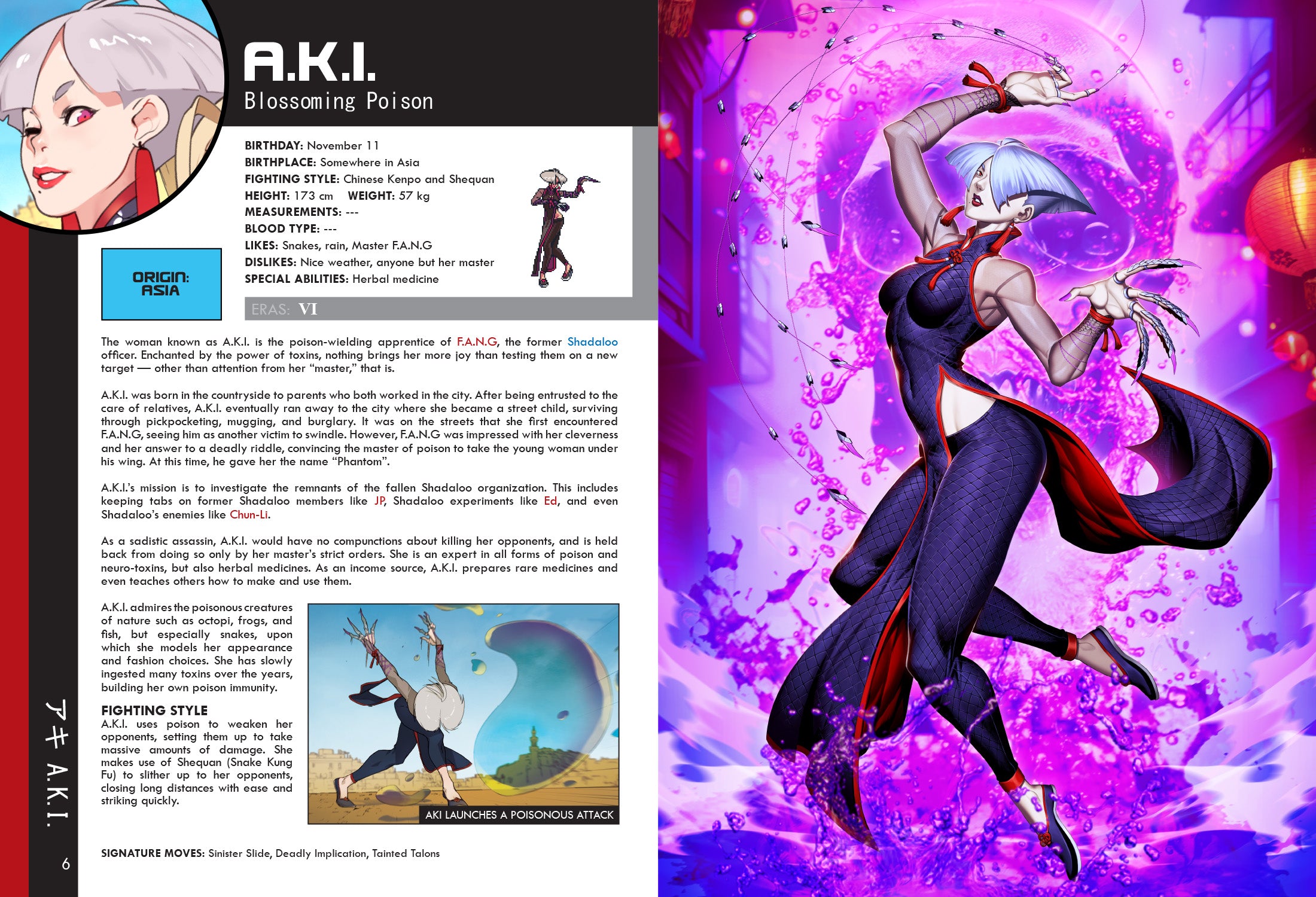Street Fighter World Warrior Encyclopedia: World Tour Edition Deluxe H